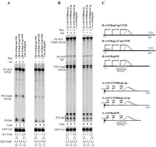 FIG. 7.