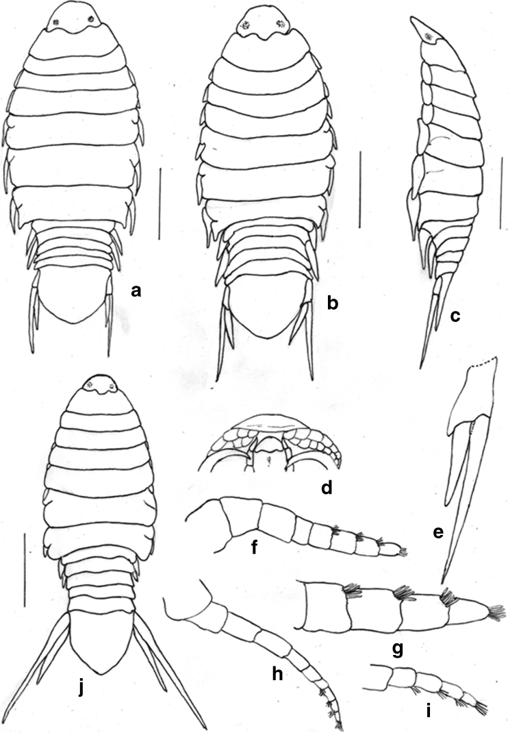 Fig. 7