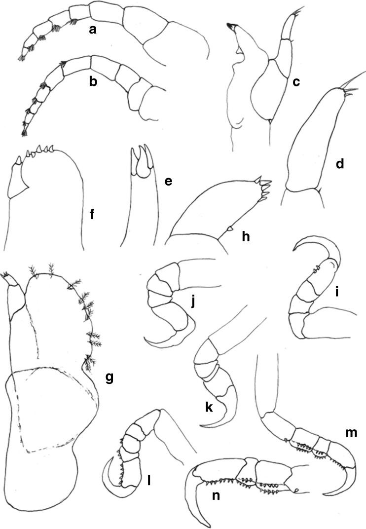 Fig. 5