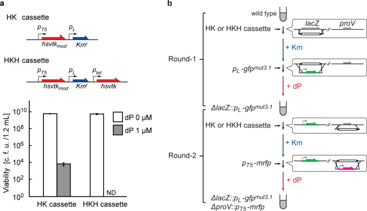 Fig 4