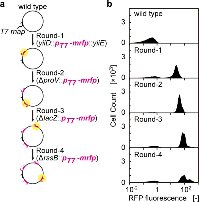 Fig 5