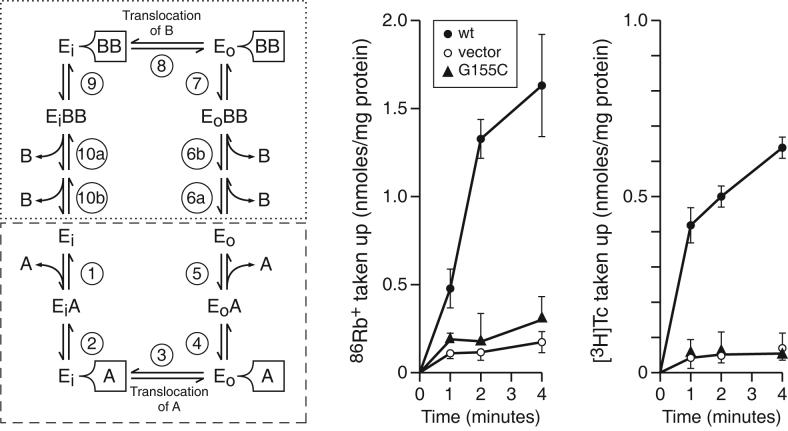 Figure. 3