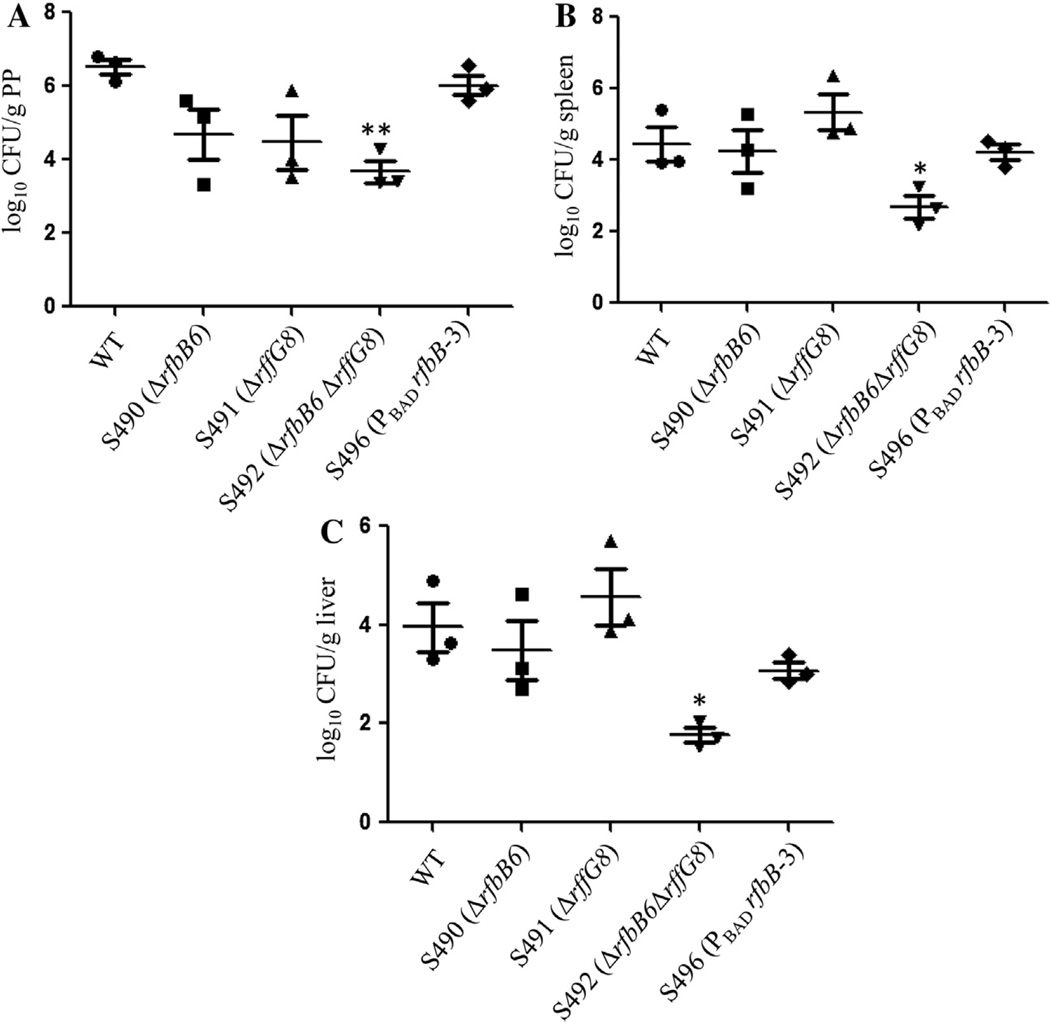 Fig. 3