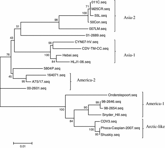 Fig. 1