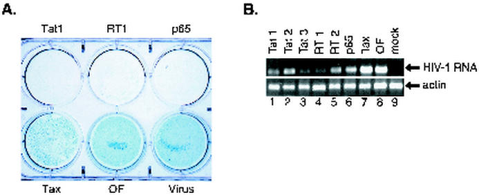 FIG. 6.