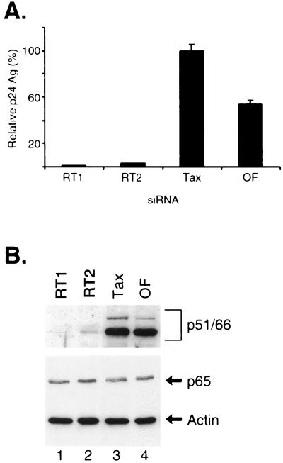 FIG. 5.