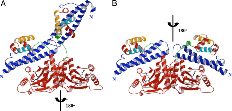 Fig. 2.