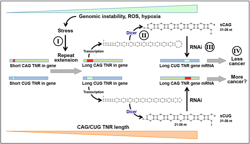 Figure 2: