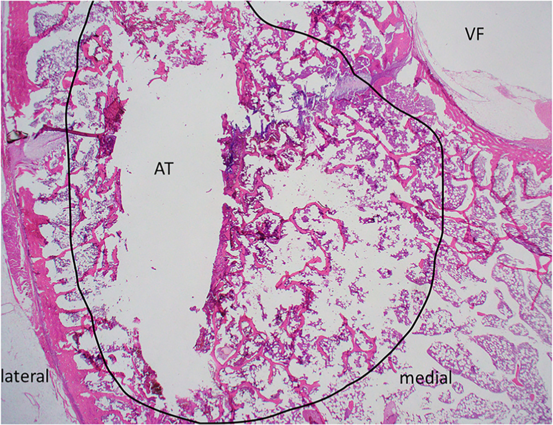 Figure 9.