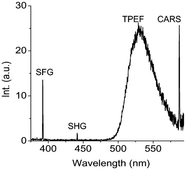 Fig. 3