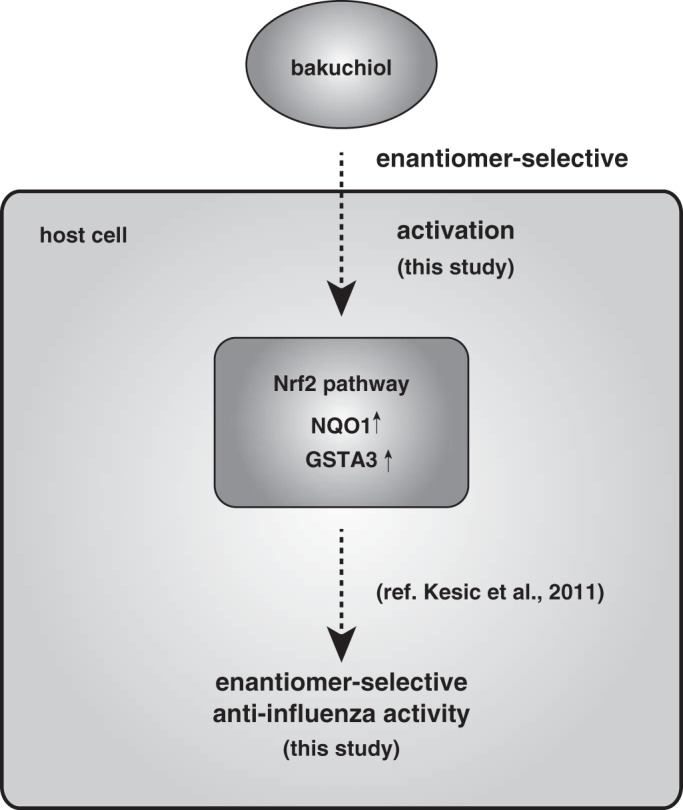 FIGURE 16.