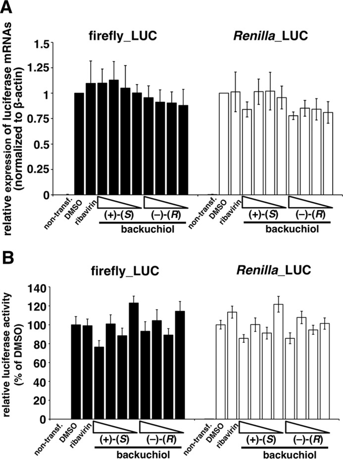 FIGURE 13.