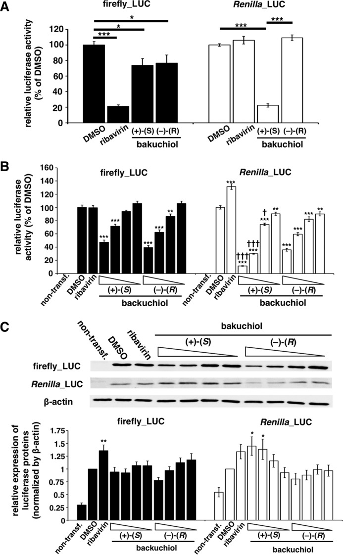 FIGURE 12.