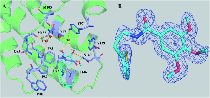 Fig. 2