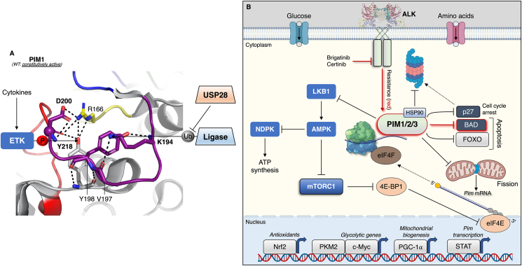 Figure 3