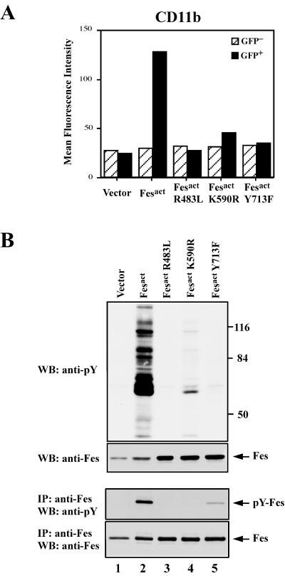 FIG. 8.