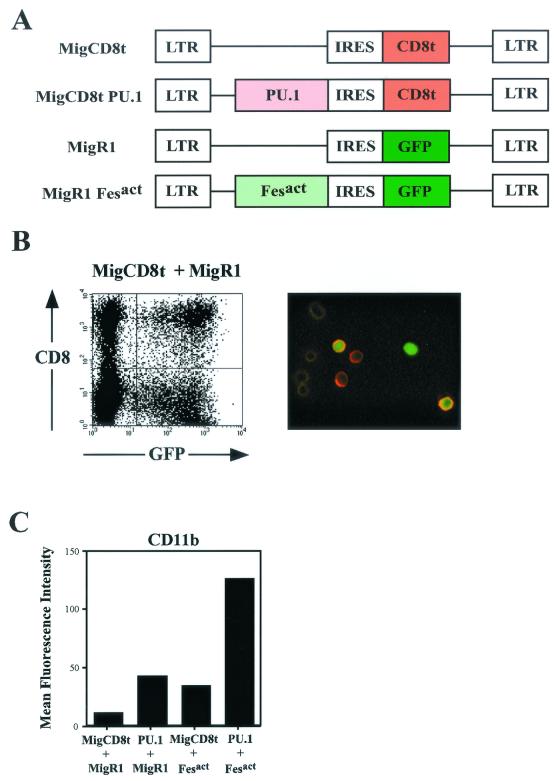 FIG. 10.