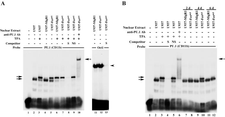 FIG. 9.