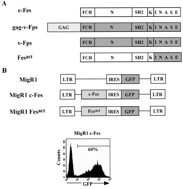 FIG. 1.