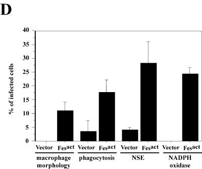 FIG.3.