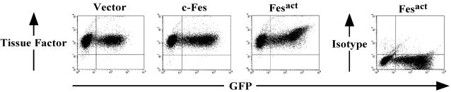 FIG. 5.