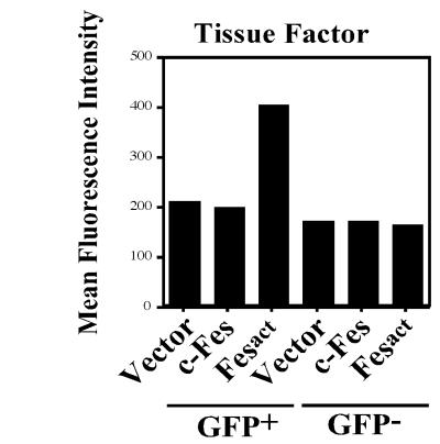 FIG. 5.