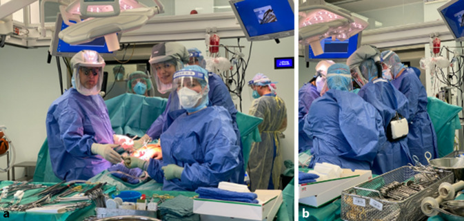 graphic file with name 772_2020_698_Fig3_HTML.jpg