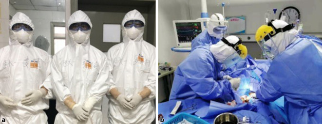 graphic file with name 772_2020_698_Fig2_HTML.jpg