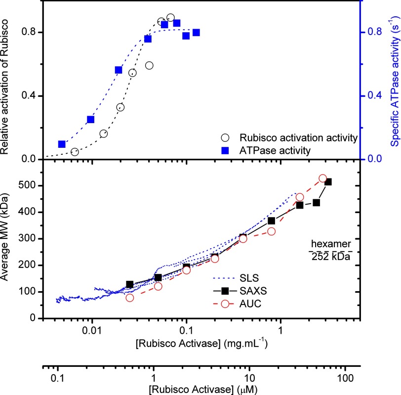 FIGURE 1.