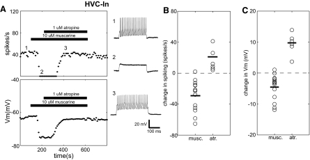 Fig. 5.