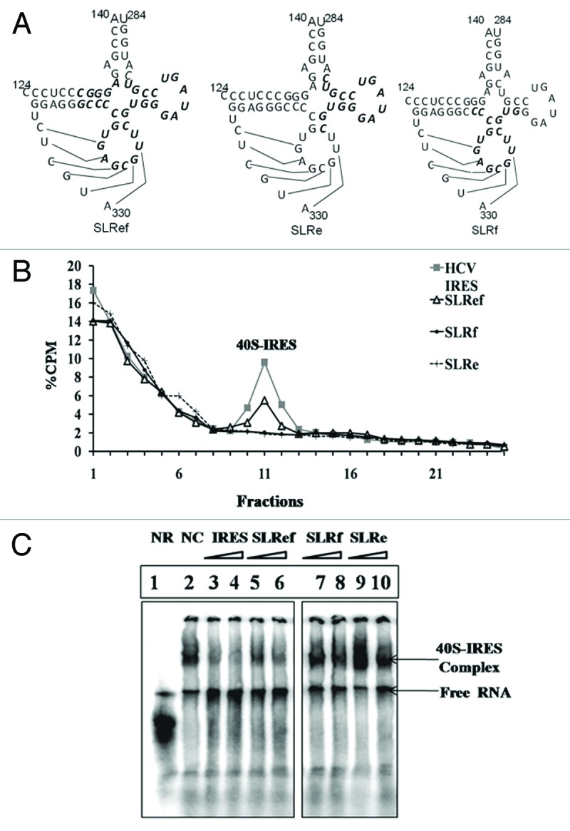 graphic file with name rna-9-1110-g1.jpg