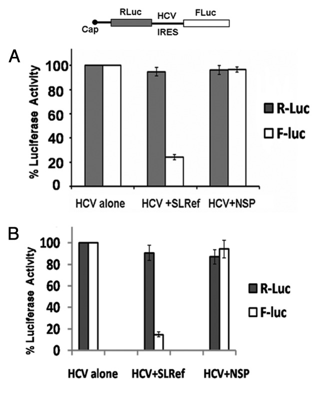 graphic file with name rna-9-1110-g6.jpg