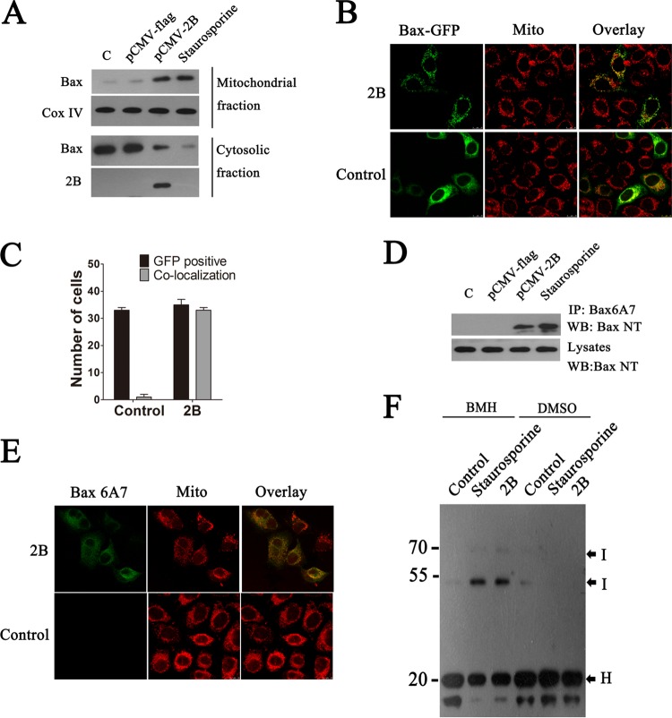 FIG 4