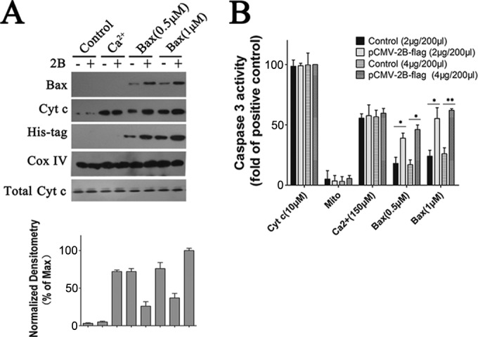 FIG 6