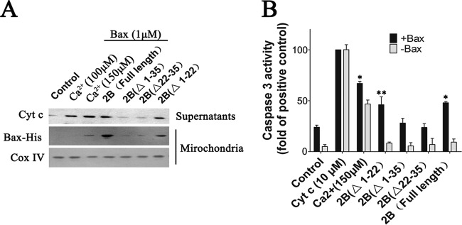 FIG 10