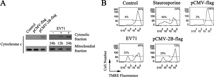 FIG 2