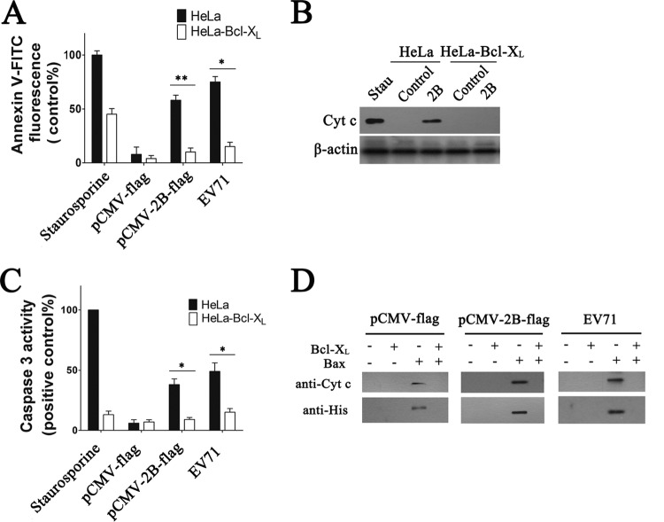 FIG 7