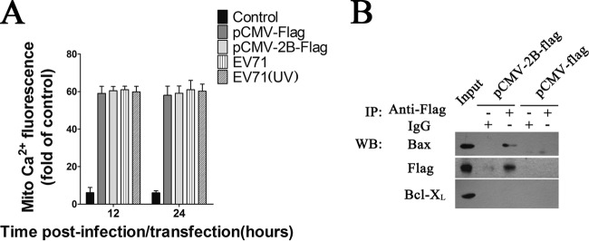 FIG 11