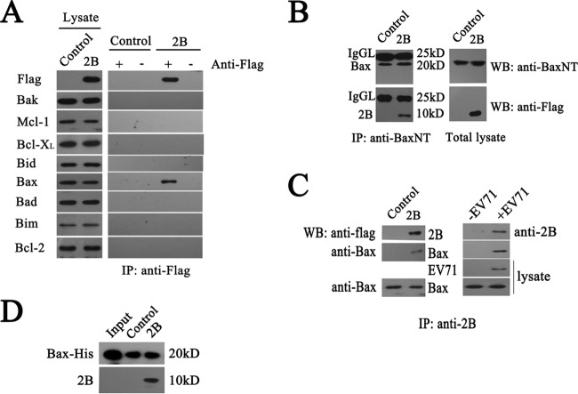 FIG 3