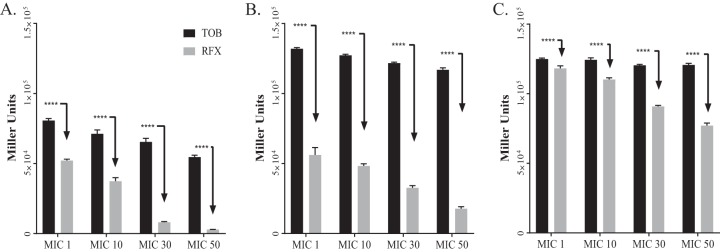 FIG 2