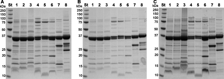 Fig. 3