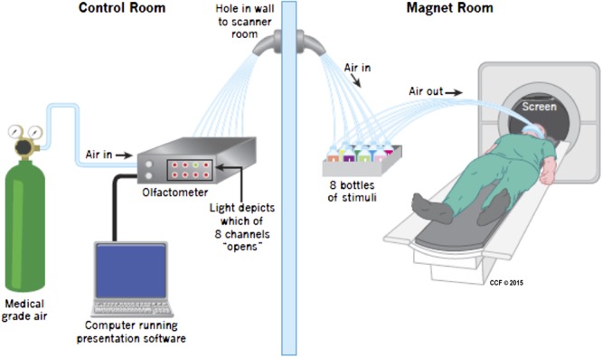 FIGURE 1