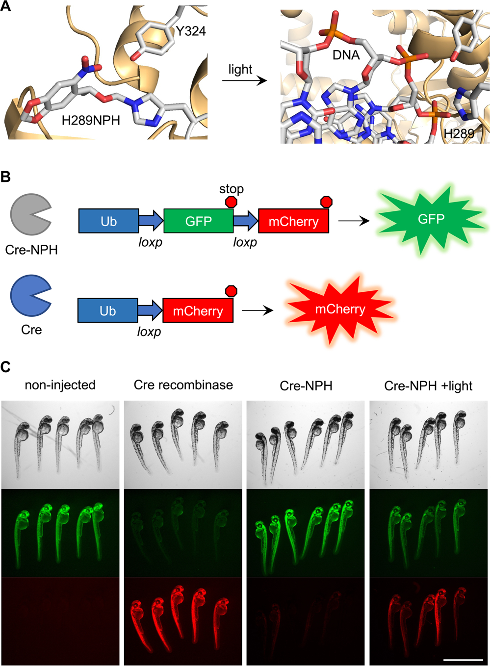 Figure 3.