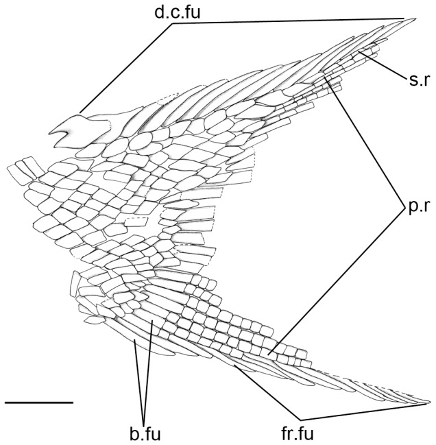 Figure 9