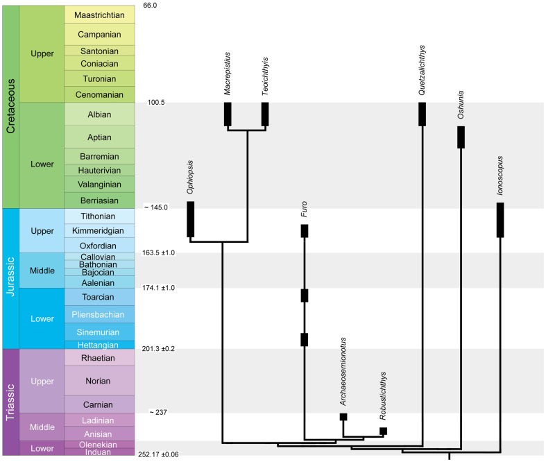 Figure 11