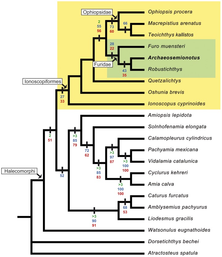 Figure 10