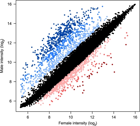 FIG. 1.—