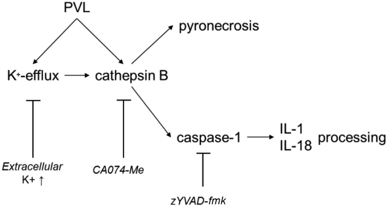 Figure 10.