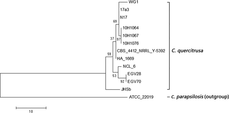 FIG 3