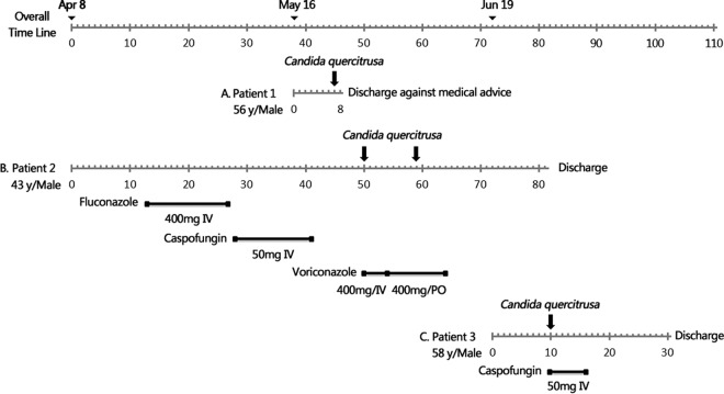 FIG 1